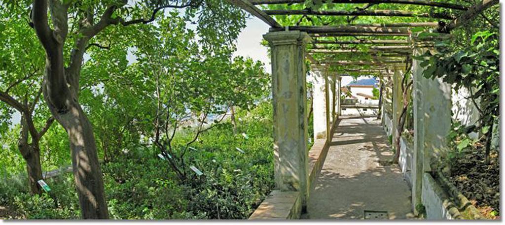Sichelgaita Apartment Salerno Bagian luar foto